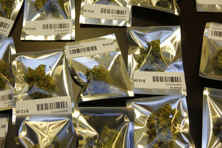 Argumentative essay on marijuana