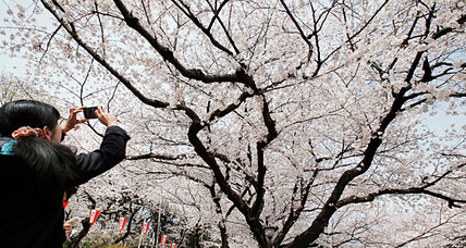 Japan's weak currency means tourism