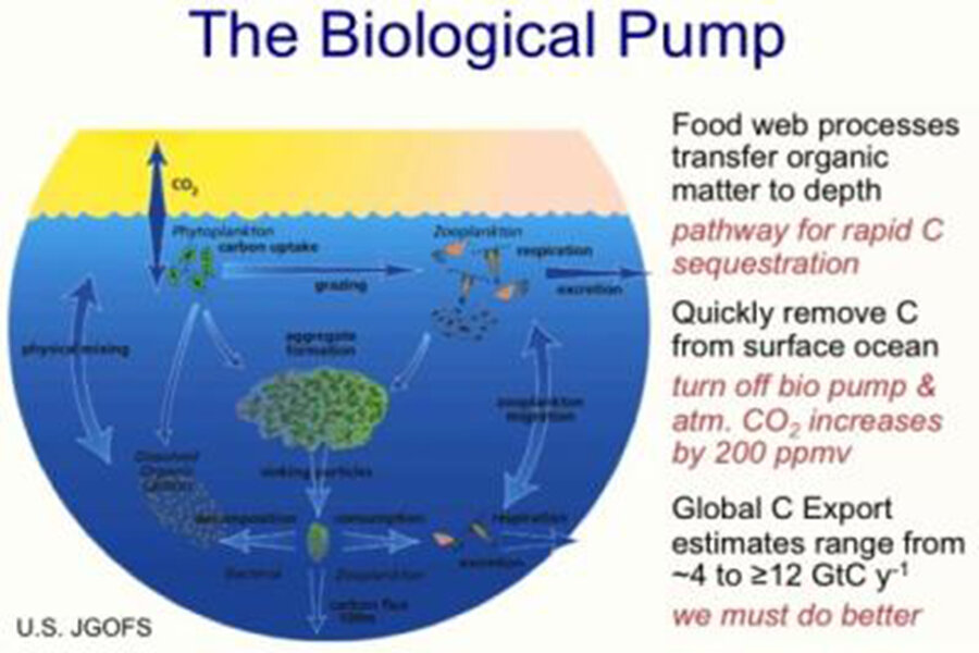 how-do-oceans-absorb-carbon-dioxide-scientists-find-clues-csmonitor