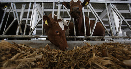 Readers Write: Humane animal treatment, Look again