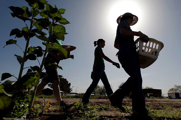 Half the farmers in the US are 55 or older, which means fewer small-scale farmers in the future. At the same time, the agricultural sector may be a source of jobs for the 74.2 unemployed youth in the world.