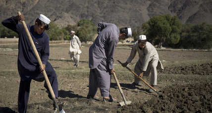 What did $7 billion spent on opium eradication in Afghanistan buy? More opium.