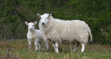 Family travel memories overlap into everyday bonding