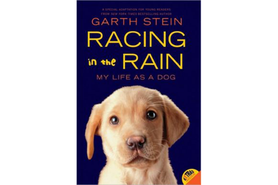 Dog Heaven Cat Heaven Cynthia Rylant Dog Heaven Cat Heaven Cynthia Rylant
