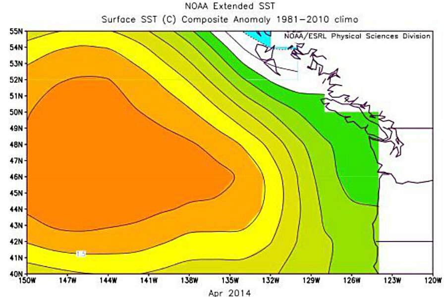 Weird US weather: Blame the big warm blob in the Pacific - Christian Science Monitor