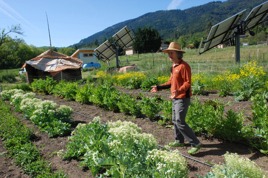 Organic farming is financially-sustainable worldwide, study finds