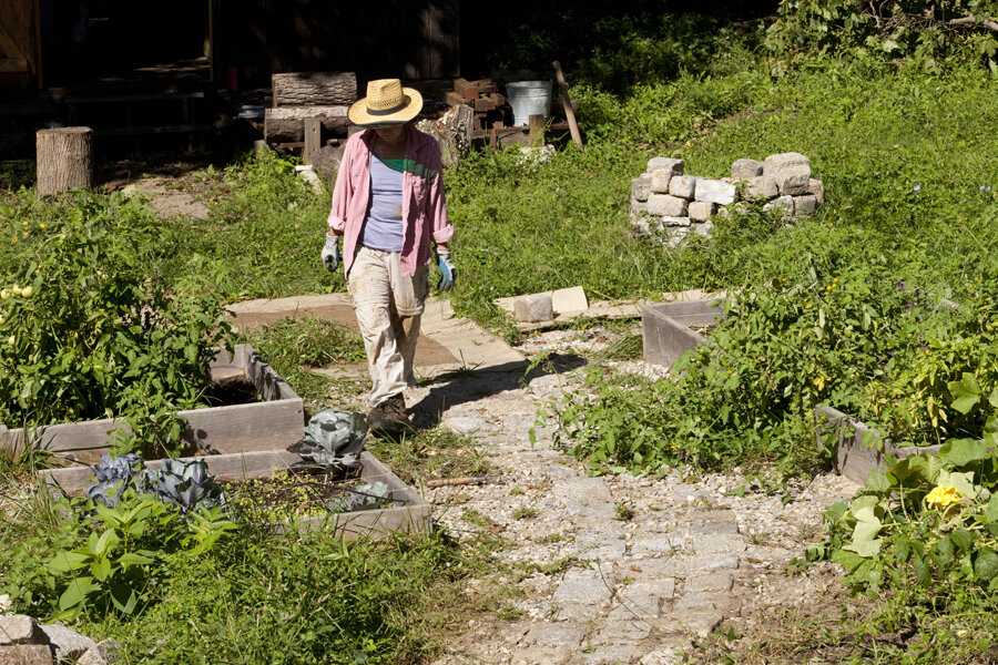 Nine landscaping, gardening skills to pick up to save money