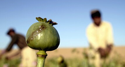 A new unity of focus on the heroin trade