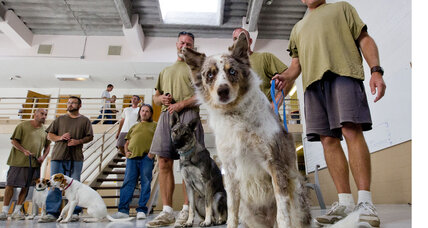 Can kittens make everything better? Prisons inmates say yes.