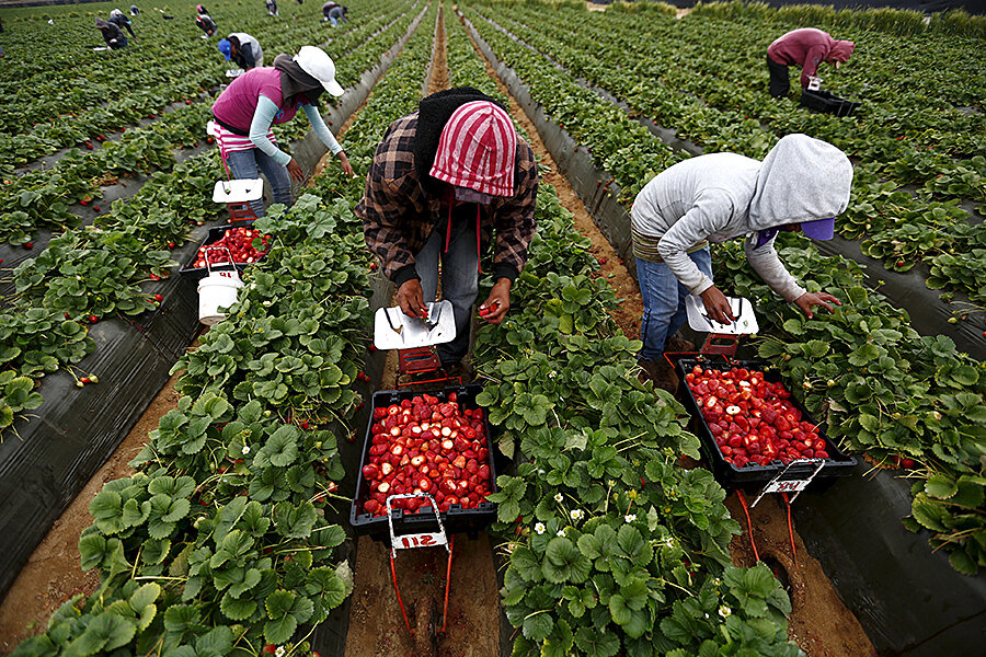 For Mexico S Migrant Workers A Push For Cross Border