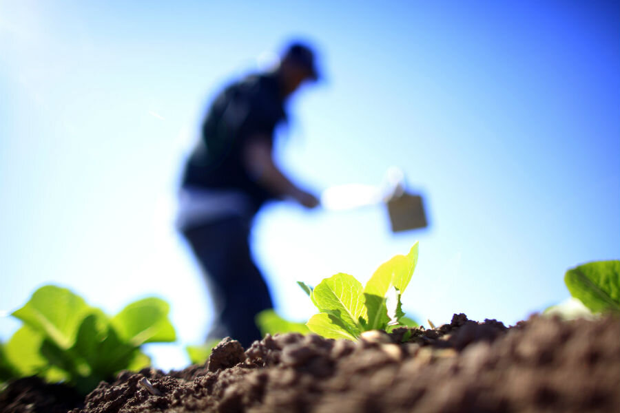 Is organic food passé? New food producer says 'post organic' is the future. - Christian Science Monitor
