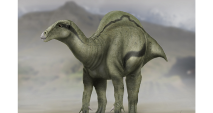 humongous dinosaur