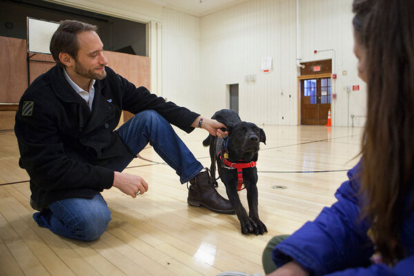 colorado prison dogs in one colorado prison convicts save dogs veterans and themselves csmonitor colorado prison dogs in one colorado prison convicts save dogs veterans and themselves csmonitor