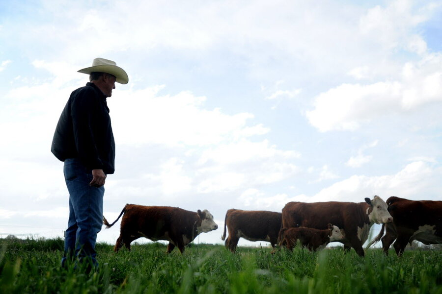 Is digital farming the future of food? - Christian Science Monitor