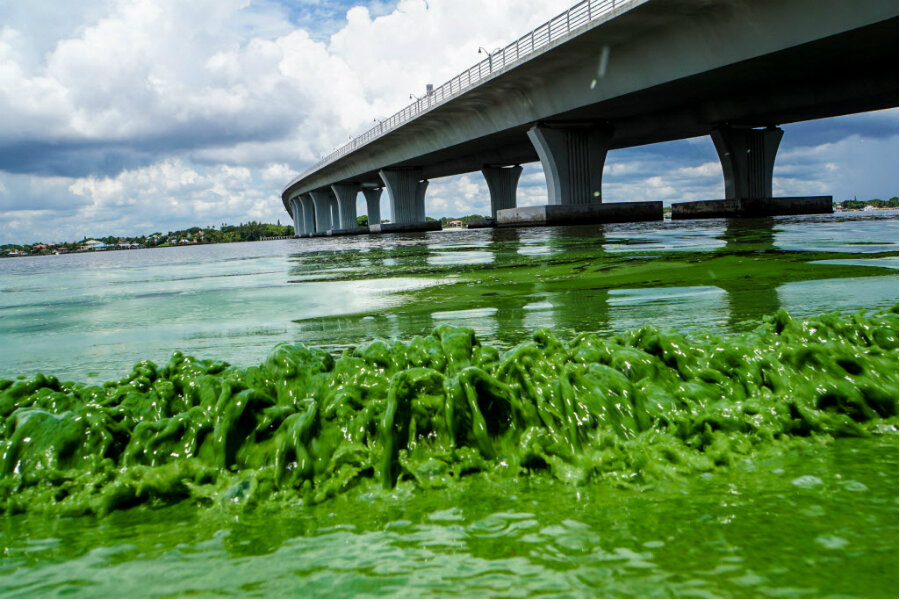 What's behind Florida's algae bloom? Satellite photos reveal clues