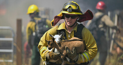 Firefighters