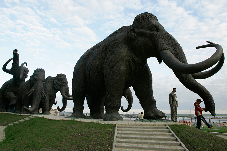 the characteristics of the woolly mammoth an extinct species of elephant A dozen other mammoth species were extant in north america and bob 10 facts about the wild woolly mammoth forms of extinct elephant were food for. the characteristics of the woolly mammoth an extinct species of elephant A dozen other mammoth species were extant in north america and bob 10 facts about the wild woolly mammoth forms of extinct elephant were food for.