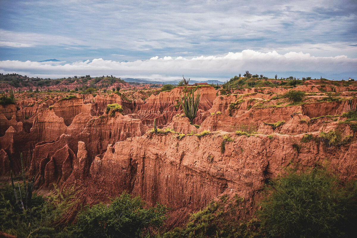 The ocher-colored Tatacoa Desert, a dry forest of canyons and scattered trees, is north of Huila department in Colombia.