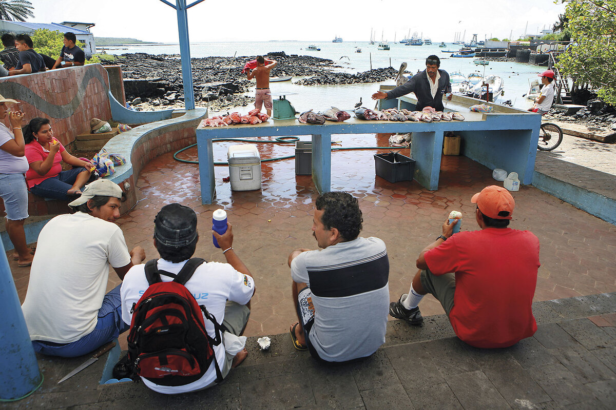 Local fishers sell their catch near where they tie up their boats in Puerto Ayora, Santa Cruz, Galápagos Islands.