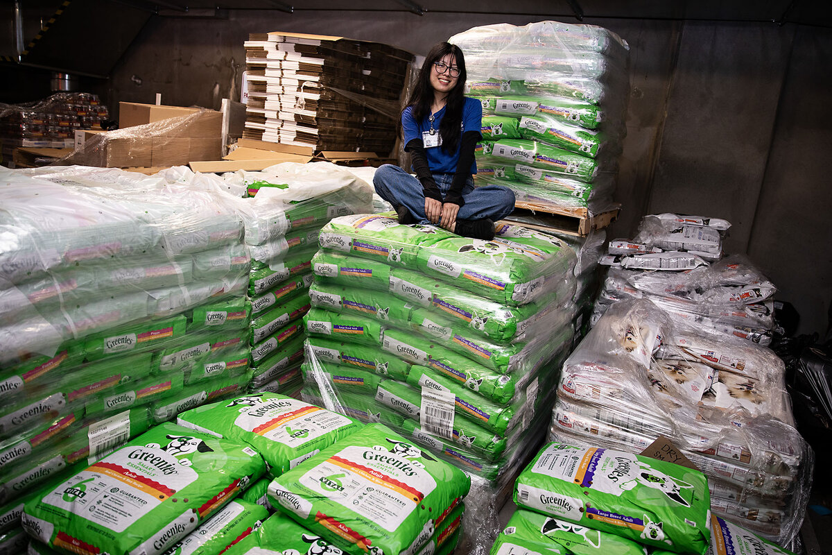 Volunteer Paula Yin sits on stacks of bagged dog food donated by the Greenies company for wildfire survivors’ pets at the Pasadena Humane Society, on Feb. 12, 2025, in California. The humane society hands out donated pet food, toys, leashes, crates, and more to wildfire survivors.