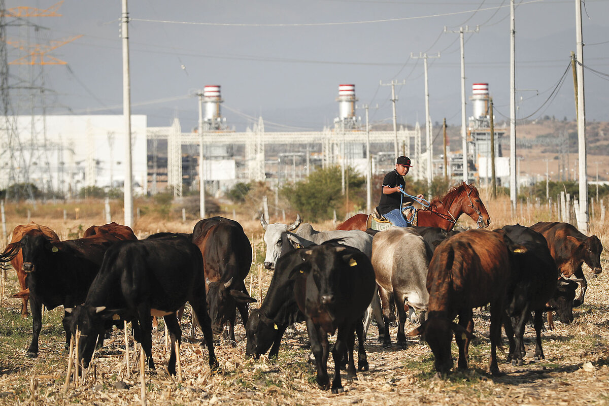 A farmer on horseback grazes his cattle near a new power generation plant near Huexca, Mexico, February 2020.