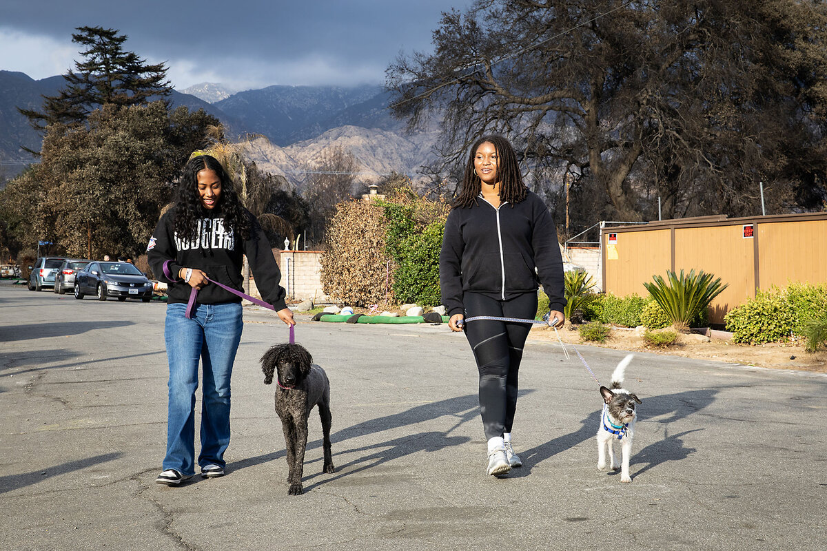 Two teenage girls walk their dogs down a street in Altadena, California.