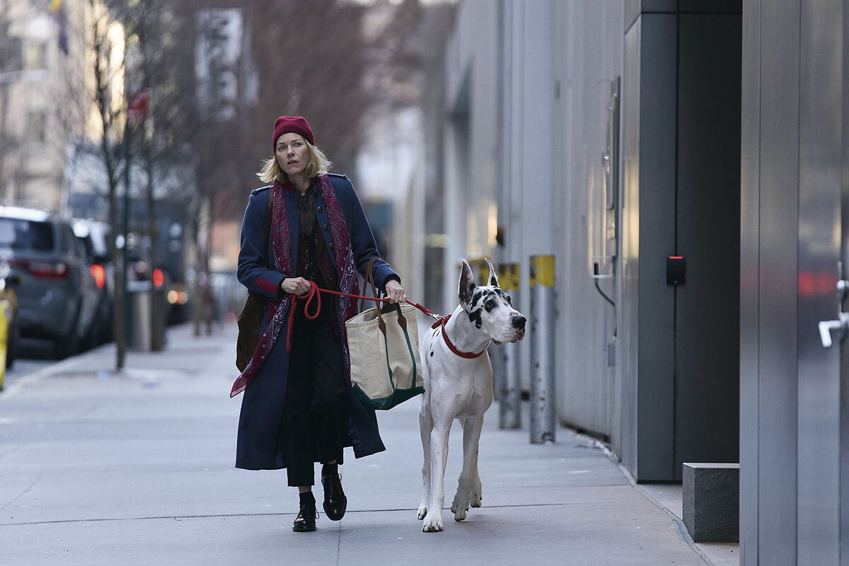 Actor Naomi Watts walks down the street in New York with a Great Dane in a scene from 'The Friend.'