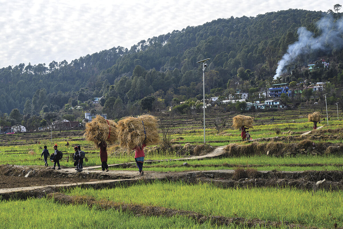 Women carrying bales of straw or hay walk with children along a narrow road through fields.