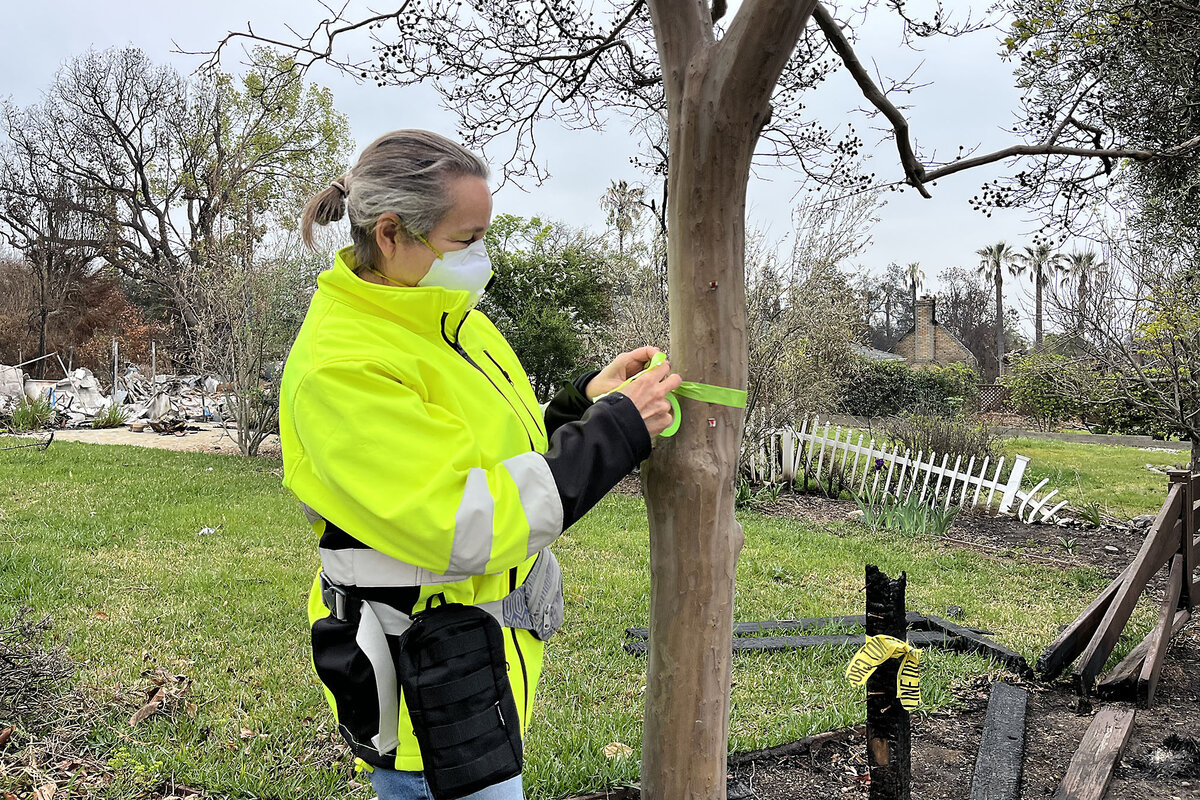 An arborist in a bright yellow jacket and protective face mask ties a green ribbon marked 'keep' around a tree trunk.