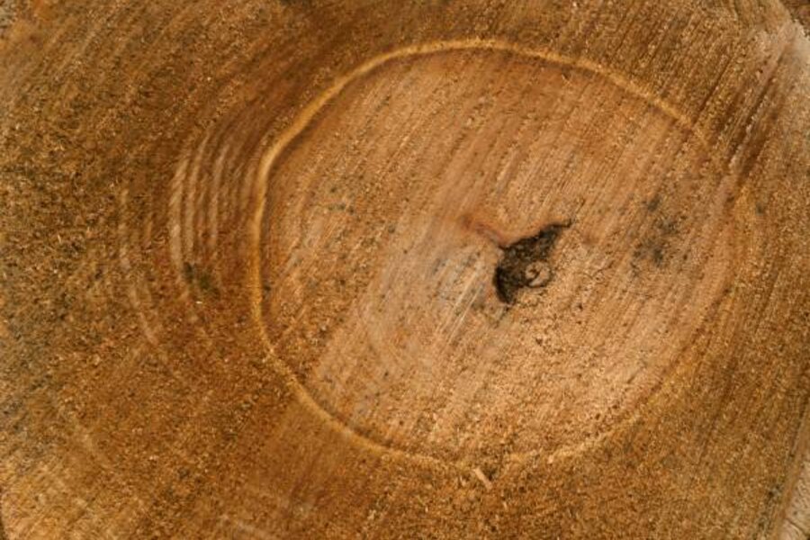 Climategate, global warming, and the tree rings divergence problem