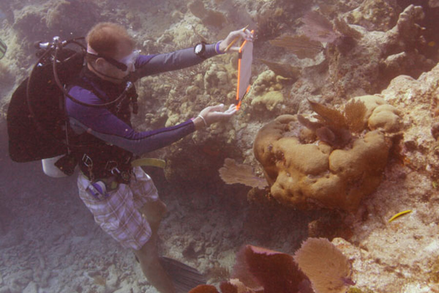 Death of coral reefs could devastate nations 