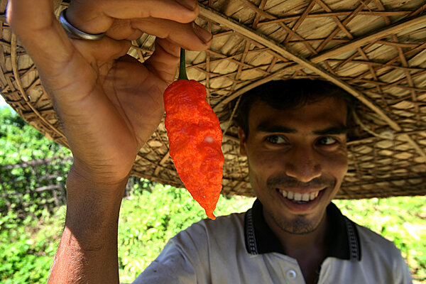 0330-OCHILI-India-Chili.jpg