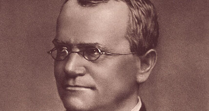 Why you should care about Gregor Mendel