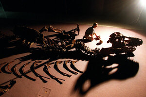 T. Rex Lives! Flipbook – Dinosaurier Animation, Wo Ein Skelett Zum Leben Erwacht