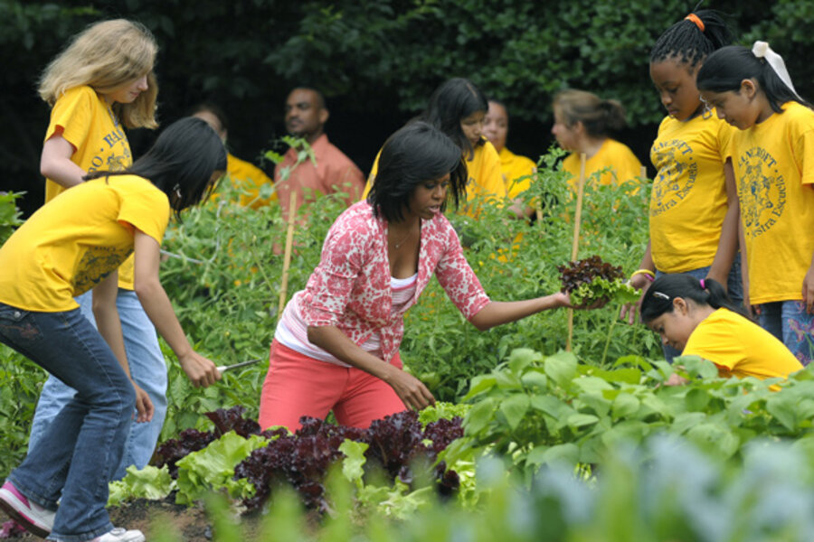 The White House Vegetable Garden Csmonitor Com