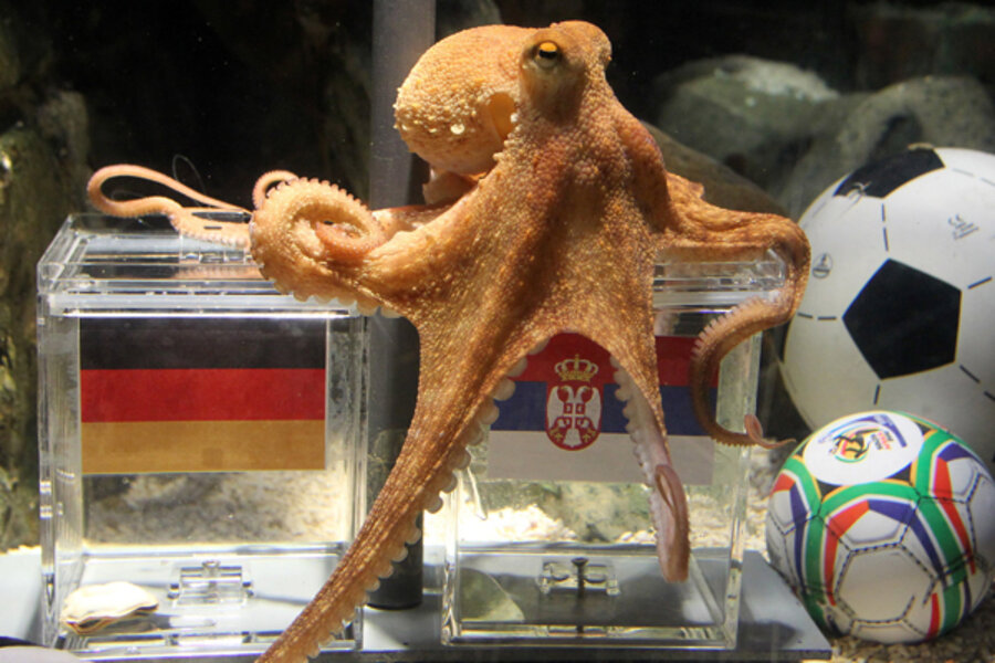 What Is An Octopus In Football?