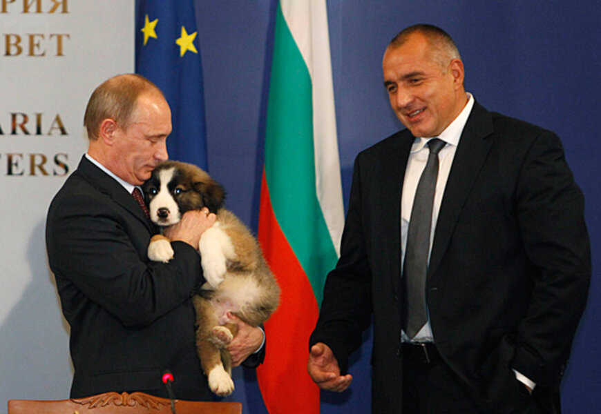 Putin's puppy 