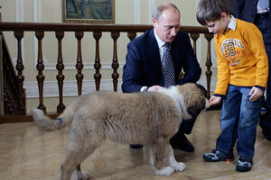 putin's puppy chow