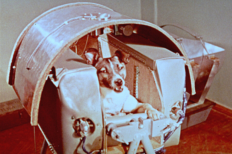 A brief history of animals in space 