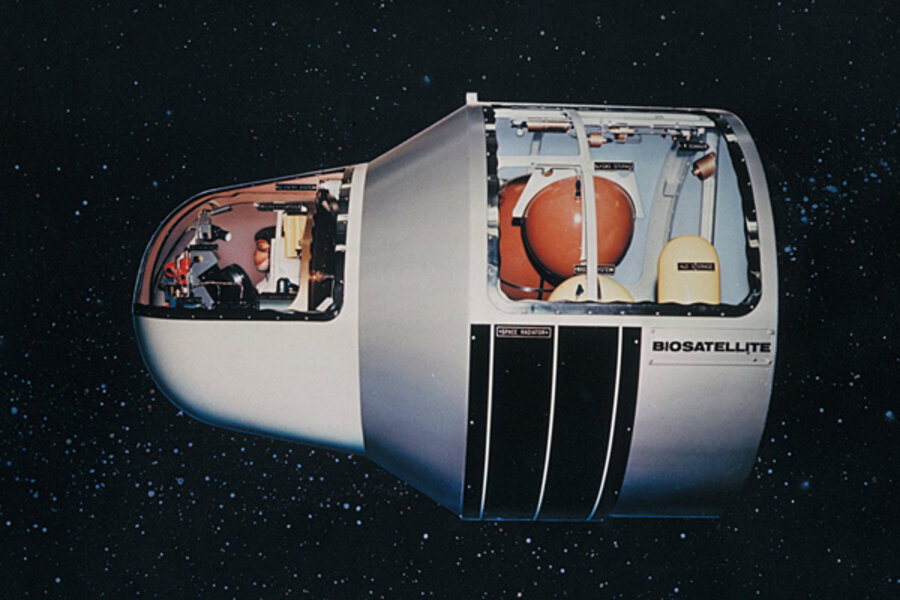 A brief history of animals in space A brief history of animals in space