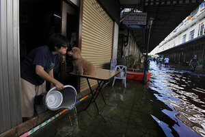 Caring For Animals In Thailand Floods - CSMonitor.com