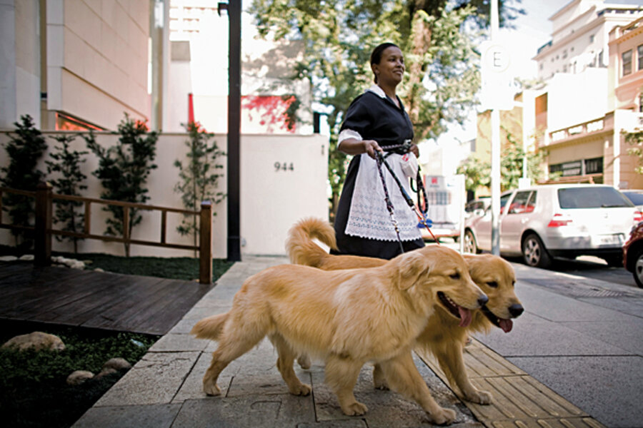 what are working class dogs