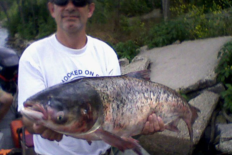Adult archive - Michigan supreme court asian carp supreme carp asian Michigan court