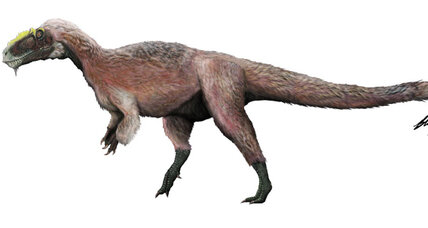 humongous dinosaur