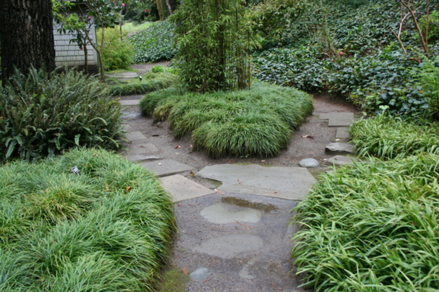 Tips For Japanese Garden Design, Japanese Ground Cover