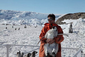 Global Warming Spells Bad News For Emperor Penguins, Study Finds ...