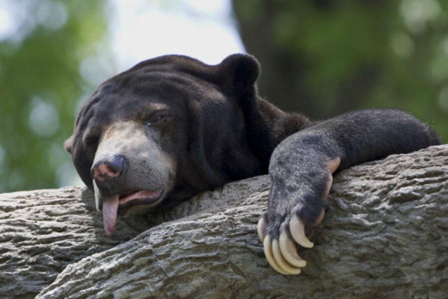 America's most popular zoos, and 7 ways to save America's most popular zoos, and 7 ways to save