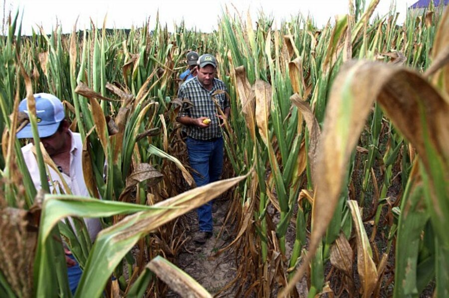 US drought how it could impact food water needs around the world Biology Diagrams