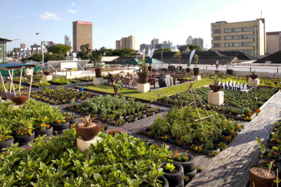 Urban Garden Fashion