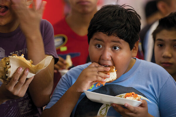 Obesity In Latin America 5